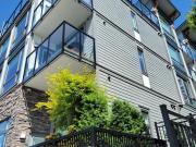 For Rent 1 Bedroom Apartment Coquitlam BC DS94420358