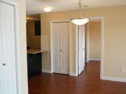 For Rent 1 Bedroom Apartment Edmonton AB DLS91317145