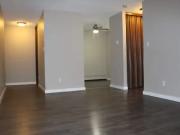 For Rent 1 Bedroom Apartment Edmonton AB DS100525747
