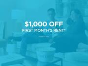 For Rent 1 Bedroom Apartment Edmonton AB DS91482020