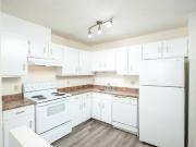 For Rent 1 Bedroom Apartment Edmonton AB DS91749607