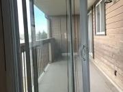 For Rent 1 Bedroom Apartment Edmonton AB DS91859904