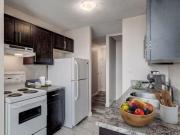 For Rent 1 Bedroom Apartment Edmonton AB DS93356738