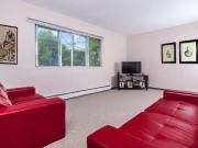 For Rent 1 Bedroom Apartment Edmonton AB DS93944275