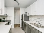 For Rent 1 Bedroom Apartment Edmonton AB DS96296675
