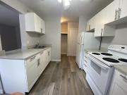 For Rent 1 Bedroom Apartment Edmonton AB DS96297010