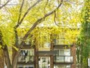 For Rent 1 Bedroom Apartment Edmonton AB DS98309570