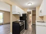 For Rent 1 Bedroom Apartment Edmonton AB DS99673138