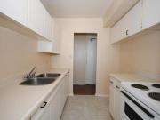 For Rent 1 Bedroom Apartment Hamilton ON DS76390409