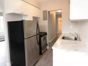 For Rent 1 Bedroom Apartment Hamilton ON DS78516676