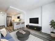 For Rent 1 Bedroom Apartment Hamilton ON DS96246236