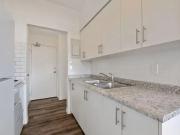 For Rent 1 Bedroom Apartment Hamilton ON DS96844999