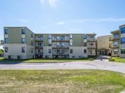 For Rent 1 Bedroom Apartment Kingston ON DLS98489596