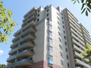 For Rent 1 Bedroom Apartment Kitchener ON DS94357581