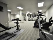 For Rent 1 Bedroom Apartment Kitchener ON DS96249065