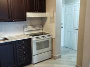 For Rent 1 Bedroom Apartment London ON DS90484706