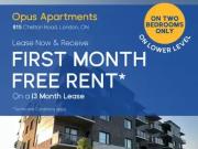 For Rent 1 Bedroom Apartment London ON DS94754673 For Rent 1 Bedroom Apartment London ON DS94754673