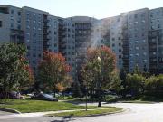 For Rent 1 Bedroom Apartment London ON DS96340790