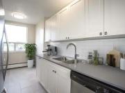 For Rent 1 Bedroom Apartment London ON DS97838296