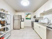 For Rent 1 Bedroom Apartment London ON DS98568604