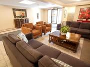 For Rent 1 Bedroom Apartment London ON DS98785187