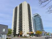 For Rent 1 Bedroom Apartment Mississauga ON DS92296475