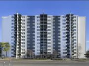 For Rent 1 Bedroom Apartment Mississauga ON DS94985369