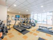 For Rent 1 Bedroom Apartment Ottawa ON DS96280724