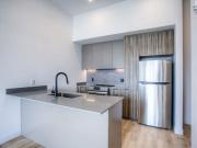 For Rent 1 Bedroom Apartment Outremont QC DS91931211