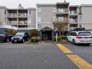 For Rent 1 Bedroom Apartment Richmond BC DS90290775