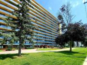 For Rent 1 Bedroom Apartment Scarborough ON DS91748246