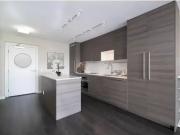 For Rent 1 Bedroom Apartment Surrey BC DS96254211