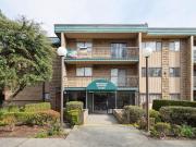 For Rent 1 Bedroom Apartment Surrey BC DS96281416