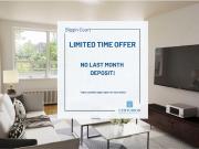 For Rent 1 Bedroom Apartment Toronto ON DS96296684