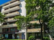 For Rent 1 Bedroom Apartment Toronto ON DS96585198