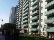 For Rent 1 Bedroom Apartment Toronto ON DS96585218