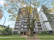 For Rent 1 Bedroom Apartment Vancouver BC DS90787243