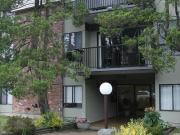 For Rent 1 Bedroom Apartment Vancouver BC DS96337785