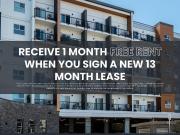 For Rent 1 Bedroom Apartment Victoria BC DS96282378