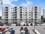 For Rent 1 Bedroom Apartment Windsor ON DLS99795074