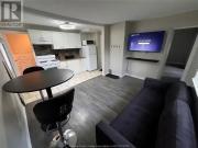 For Rent 1 Bedroom Apartment Windsor ON DS93115927