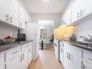 For Rent 1 Bedroom Apartment Windsor ON DS95002387