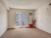 For Rent 1 Bedroom Apartment Winnipeg MB DS94574909