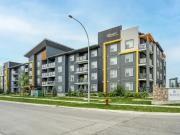 For Rent 1 Bedroom Apartment Winnipeg MB DS97334056