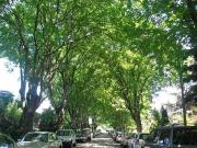 For Rent 1 Bedroom House Vancouver BC DS97838280