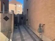 For Rent 1 Bedroom House Vaughan ON DS91751339