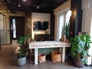 For Rent 1 Bedroom Shared Living/roommate Bath Bath...