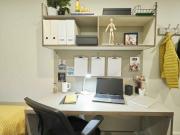 For Rent 1 Bedroom Shared Living/roommate Belfast...