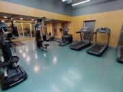 For Rent 1 Bedroom Shared Living/roommate Bradford...