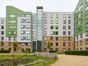 For Rent 1 Bedroom Shared Living/roommate Bradford...